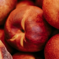 nectarine