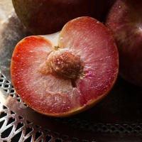 plum