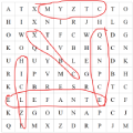 Word Search preview